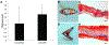 Figure 5: