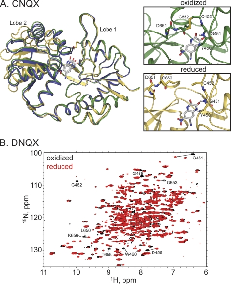 FIGURE 4.