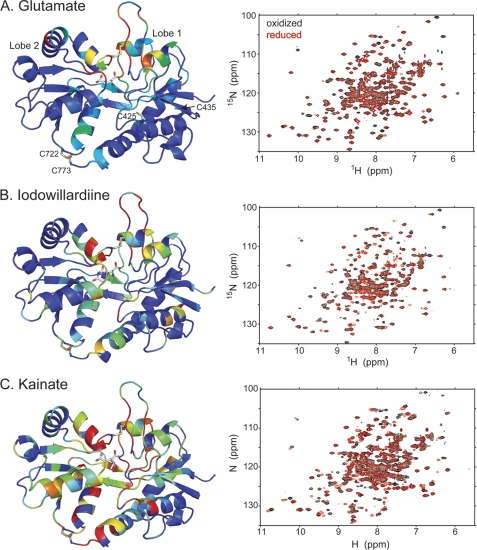 FIGURE 1.