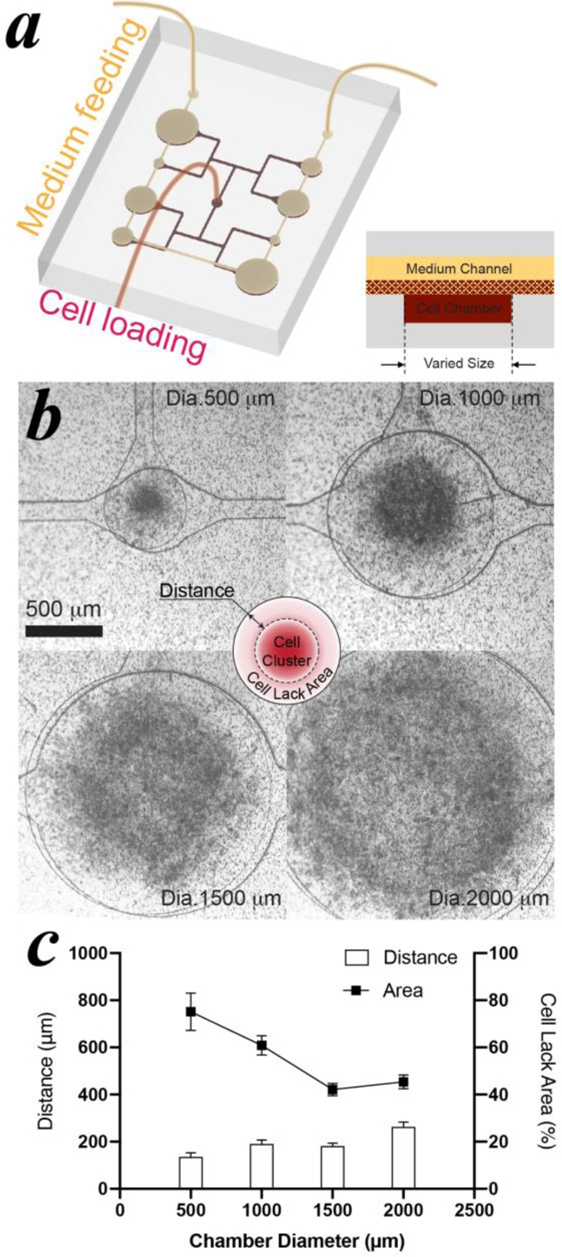 Figure 4: