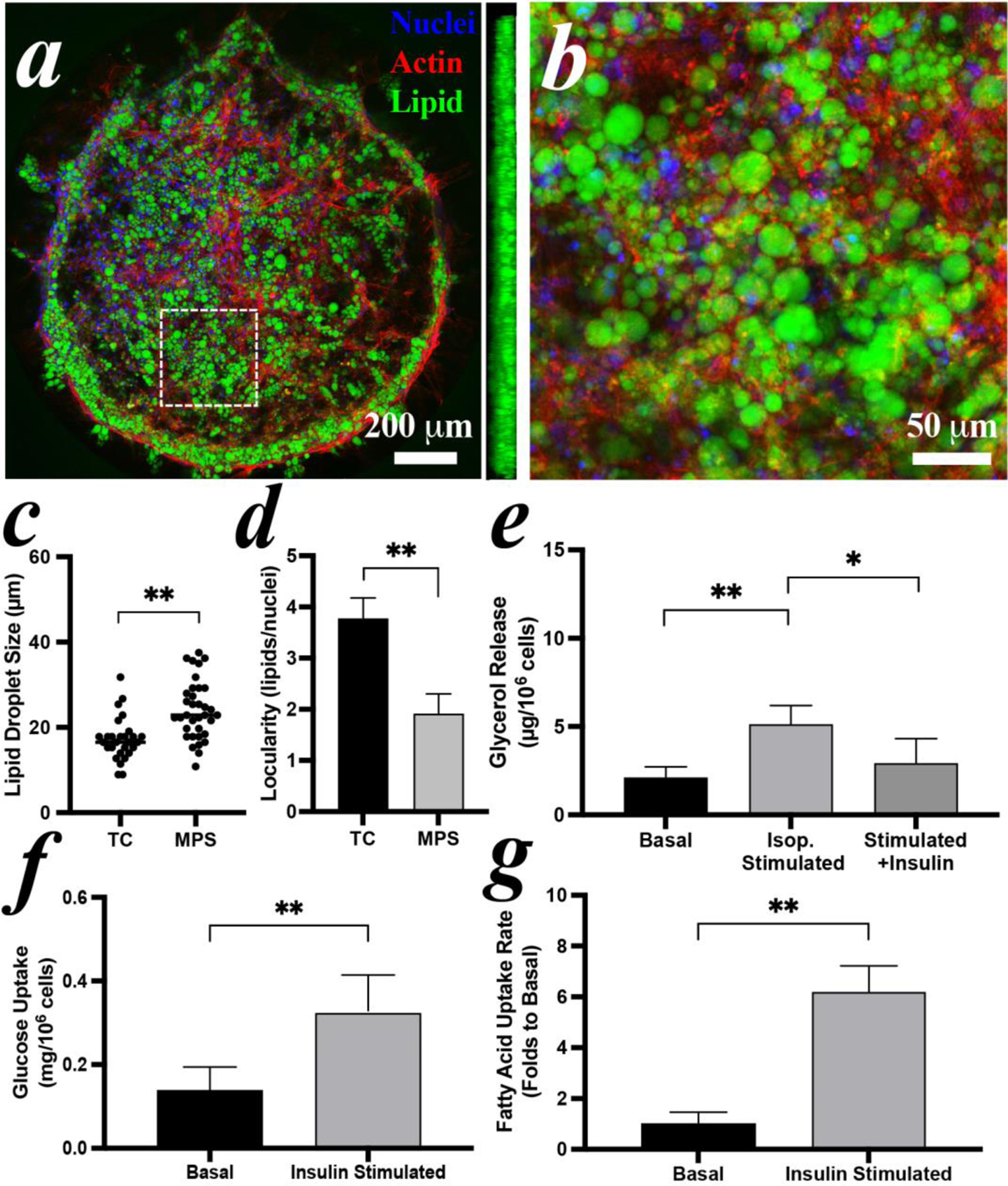 Figure 6: