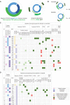 Figure 1. Acquired resistance alterations in serial ctDNA from patients treated with alpelisib and inavolisib. A, Incidence of acquired PI3K pathway genomic alterations in 42 patients with PIK3CA-mutant breast cancer treated with orthosteric PIK3CA inhibitors (left, total number; right, breakdown based on mutation type). B, Incidence and correlation of acquired PIK3CA, PTEN, and AKT1 alterations in patients treated with inavolisib and alpelisib, respectively. C and D, Combination partners, response duration, baseline and emerging genomic in-pathway and bypassing pathway alterations of patients treated with inavolisib and alpelisib, respectively. FSM, frameshift mutation; PM, point mutation.