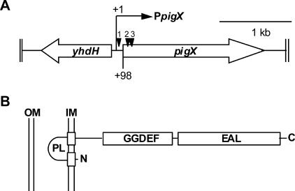 FIG. 1.