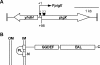 FIG. 1.