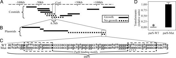 Fig. 1.