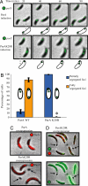 Fig. 3.