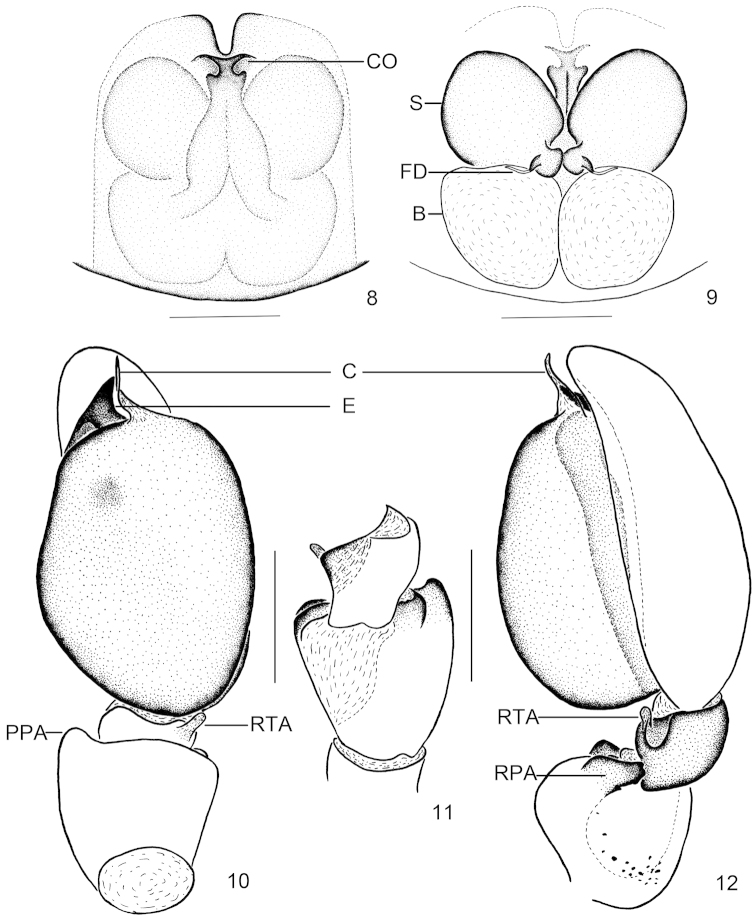 Figures 8–12.