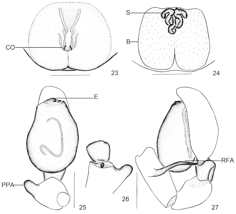 Figures 23–27.