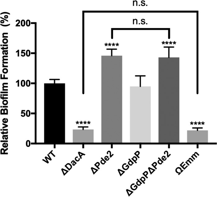 FIG 6