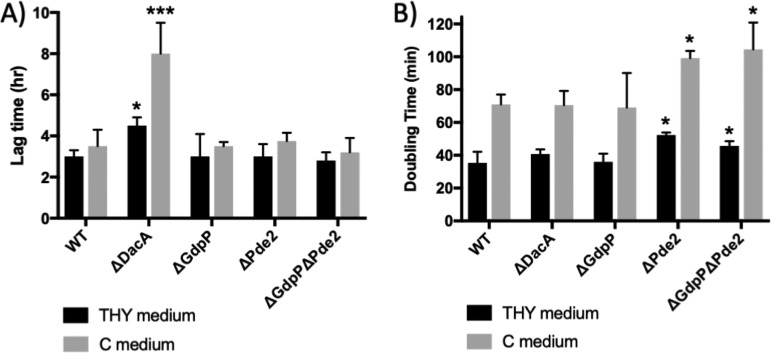 FIG 3