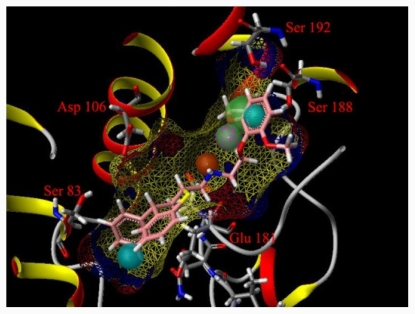 Figure 6