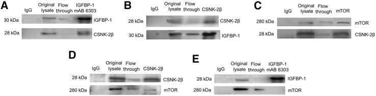 Figure 5