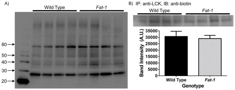 Fig 7