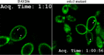 FIG 2
