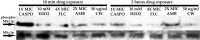 FIG 10