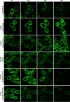 FIG 9