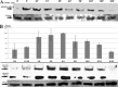 FIG 7