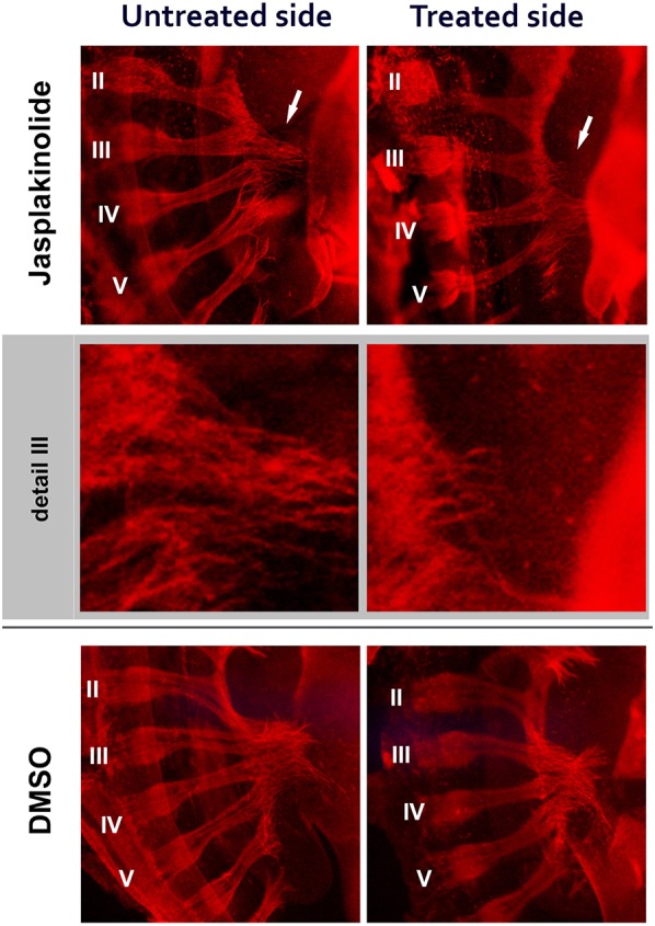 Fig. 9.