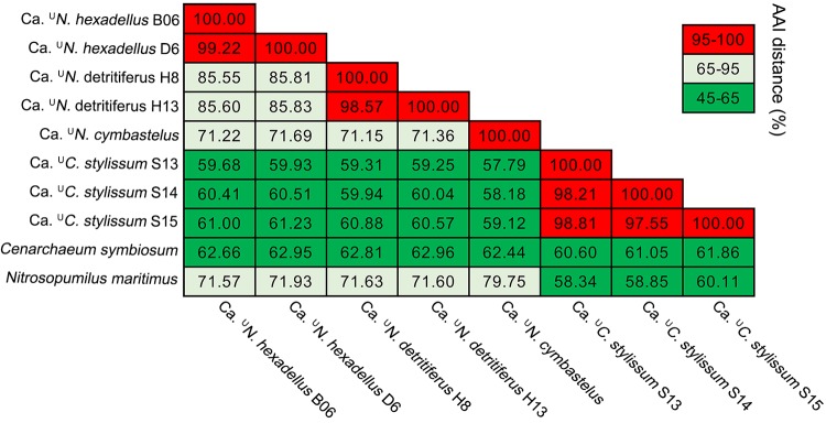 FIG 2