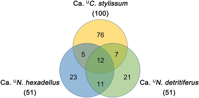 FIG 5