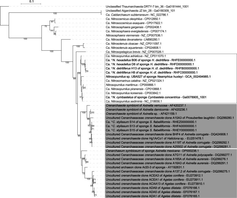 FIG 1