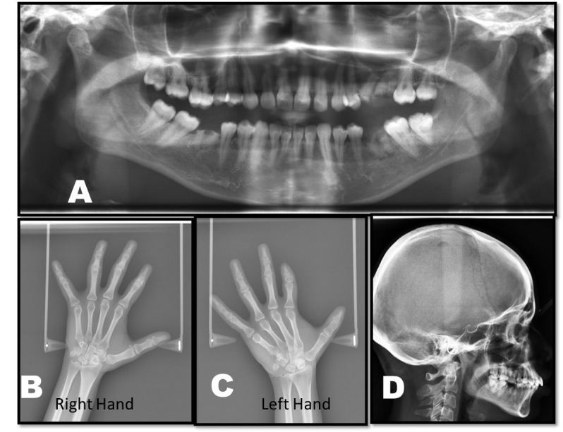 Figure 2.