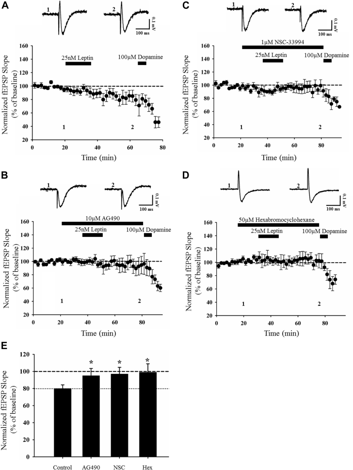 Fig. 3