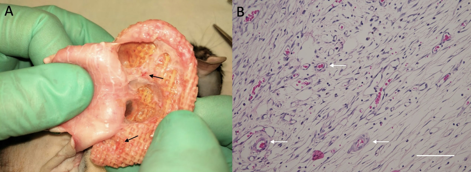 Figure 3: