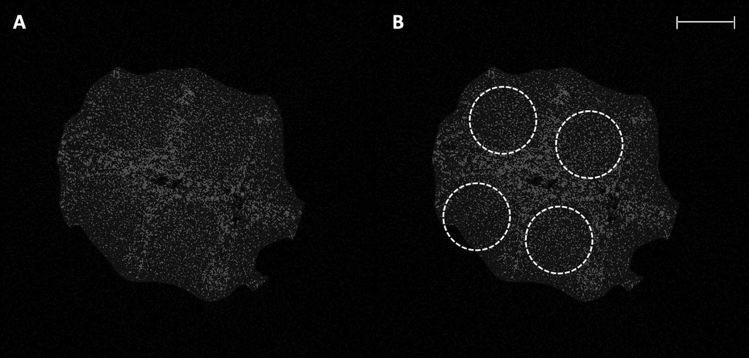 Figure 4: