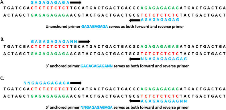 Figure 6