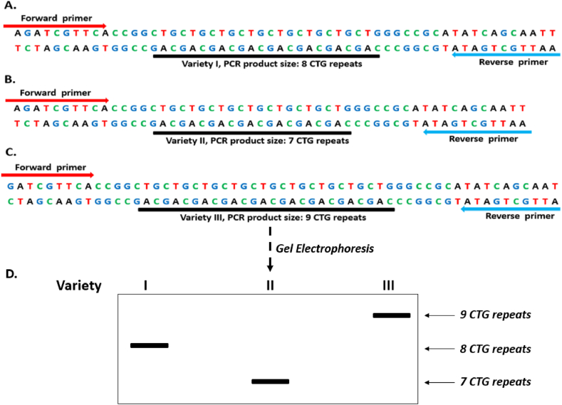 Figure 5