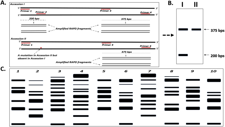 Figure 4