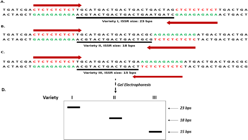 Figure 7