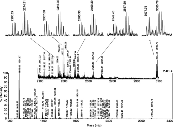 Fig. 3.