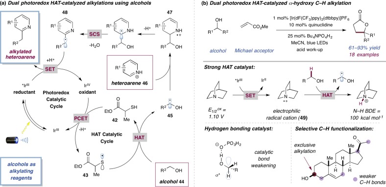 Scheme 18