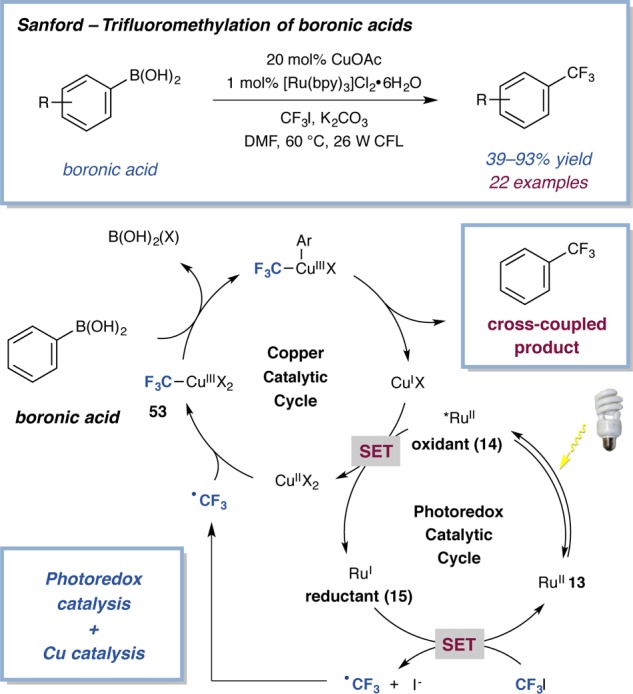 Scheme 21