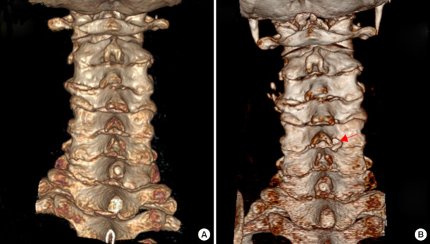 Fig. 5.