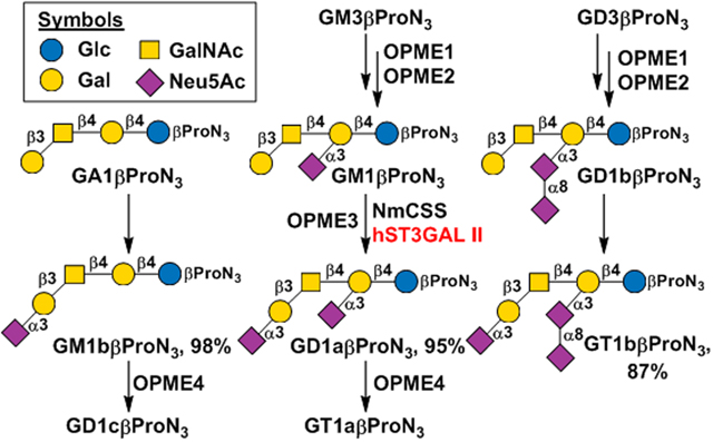 graphic file with name nihms-1817849-f0003.jpg