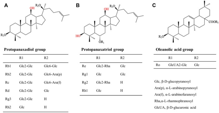 FIGURE 2