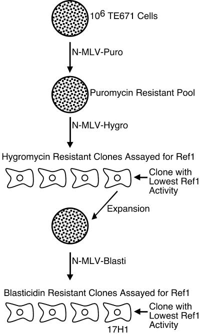 FIG. 1.