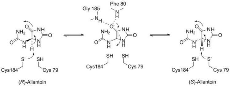 Scheme 2