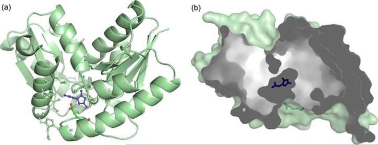 Fig. 8