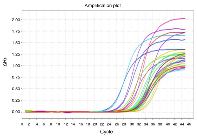 Figure 2.