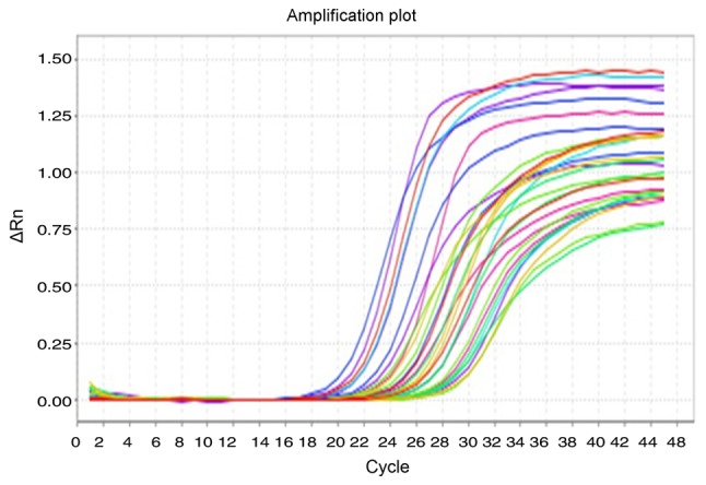 Figure 3.