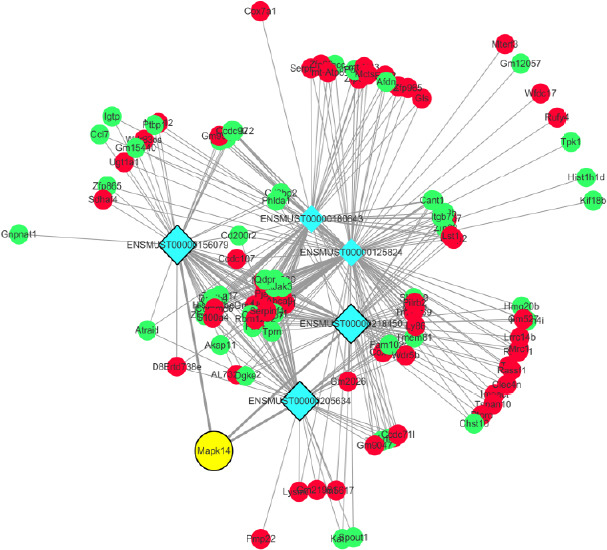 Figure 4