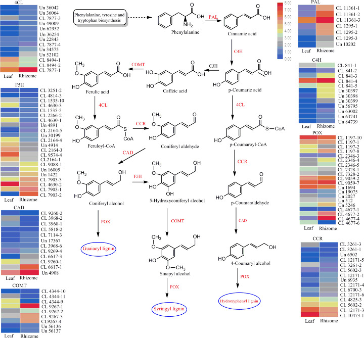 Figure 4