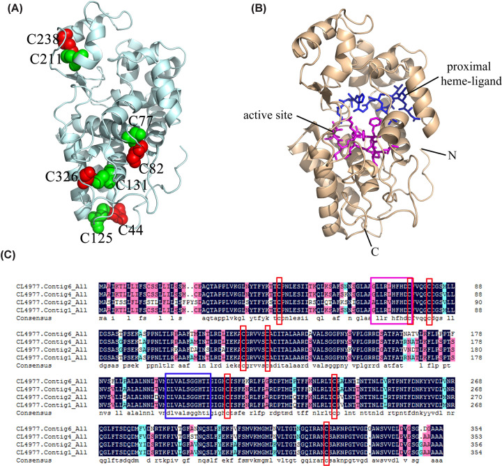 Figure 7