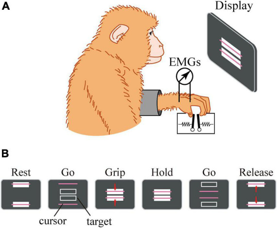 FIGURE 3