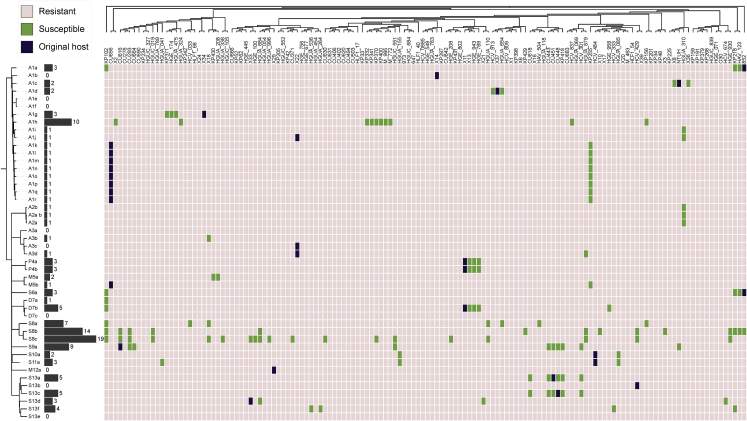 Figure 2