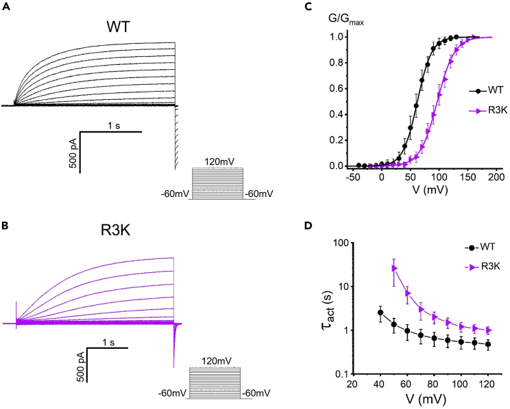 Figure 4